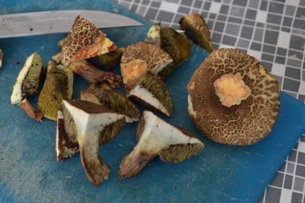 Hríby na zelenine a s kuracími prsiami na slanine (fotorecept) - obrázok 4