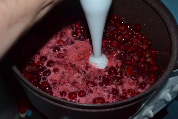 Višňový lekvár (fotorecept) - obrázok 3