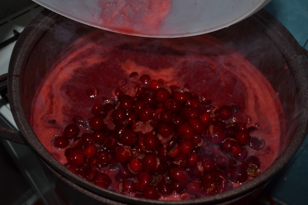 Višňový lekvár (fotorecept) - obrázok 7