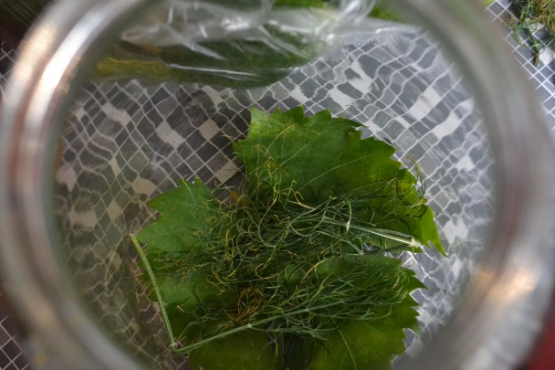  Kvašáky (fotorecept) - obrázok 2