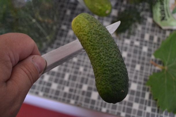  Kvašáky (fotorecept) - obrázok 3