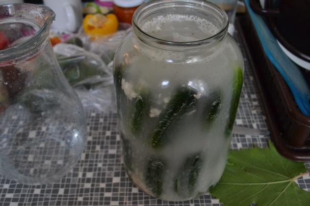  Kvašáky (fotorecept) - obrázok 10