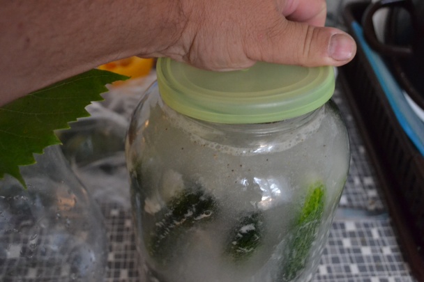  Kvašáky (fotorecept) - obrázok 11