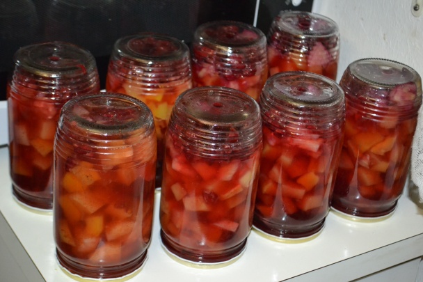Tekvicový kompót s višňami v cukre (fotorecept) - obrázok 13