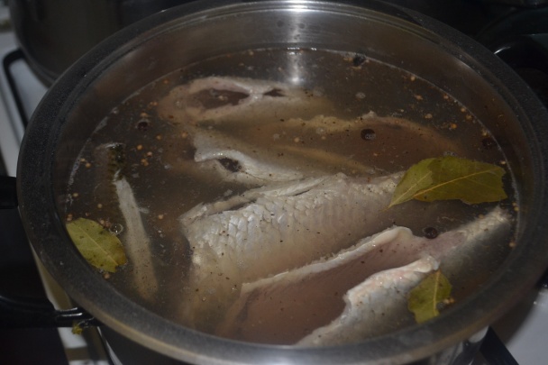 Rybia Treska (fotorecept)  - obrázok 3