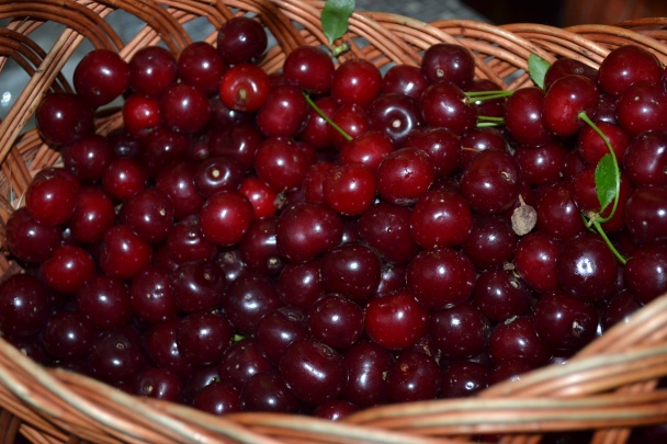 Domáca Griotka (fotorecept) - obrázok 1