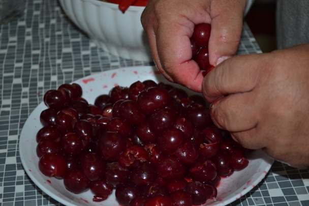 Domáca Griotka (fotorecept) - obrázok 2