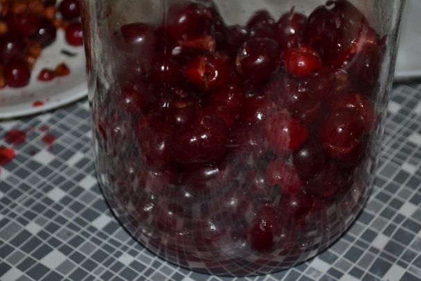 Domáca Griotka (fotorecept) - obrázok 4