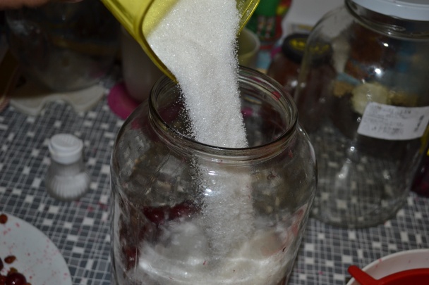 Domáca Griotka (fotorecept) - obrázok 5