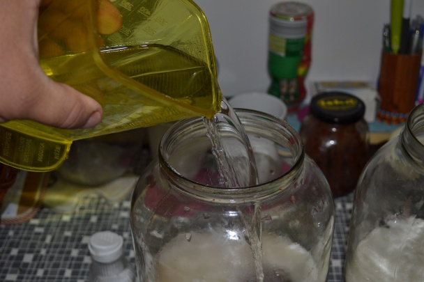 Domáca Griotka (fotorecept) - obrázok 6