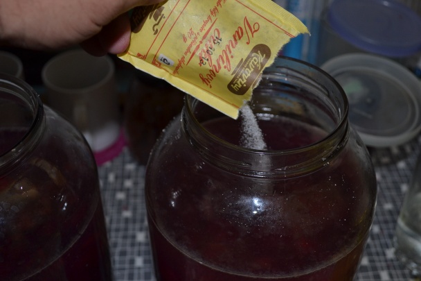 Domáca Griotka (fotorecept) - obrázok 7