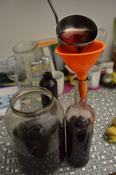 Domáca Griotka (fotorecept) - obrázok 10