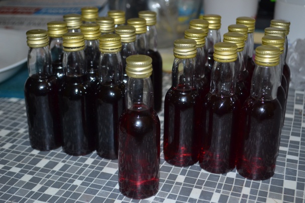 Domáca Griotka (fotorecept) - obrázok 11