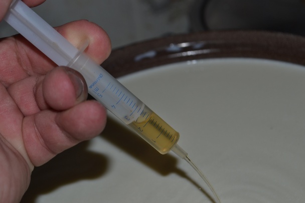 Syr - kravská hrudka (fotorecept) - obrázok 3