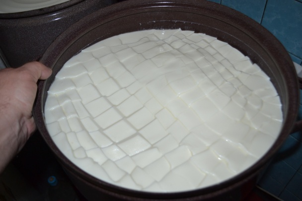 Syr - kravská hrudka (fotorecept) - obrázok 4