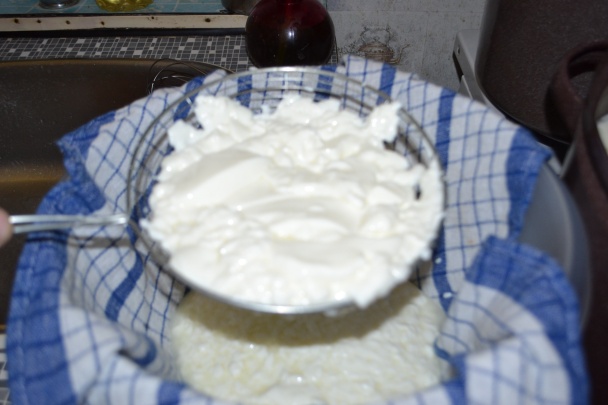 Syr - kravská hrudka (fotorecept) - obrázok 5