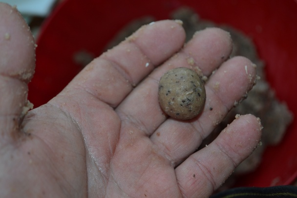 Kokosové guľky (fotorecept) - obrázok 3