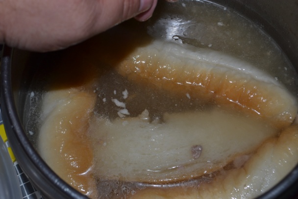 Stratené kura (fotorecept) - obrázok 4