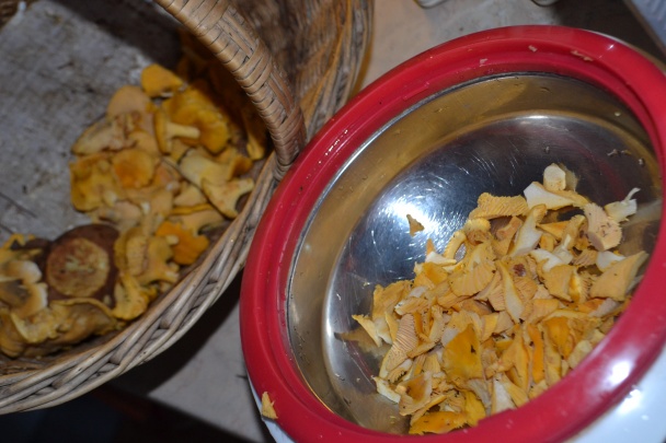 Kuriatkový perkelt (fotorecept) - obrázok 1