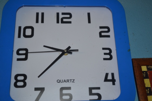 Huspenina (fotorecept) - obrázok 4