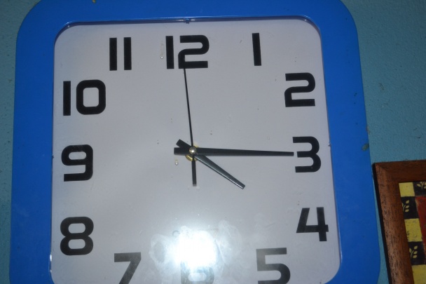 Huspenina (fotorecept) - obrázok 7