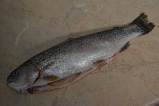 Pstruh na masle (fotorecept) - obrázok 1