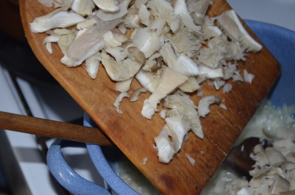 Rizoto s hlivou ustricovou (fotorecept) - obrázok 2