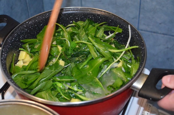 Polievka z medvedieho cesnaku (fotorecept) - obrázok 3