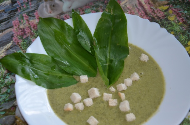 Polievka z medvedieho cesnaku (fotorecept) - obrázok 6