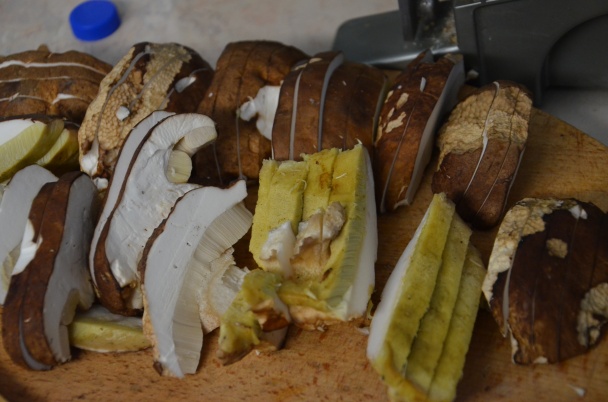 Hubové rezne (fotorecept) - obrázok 1