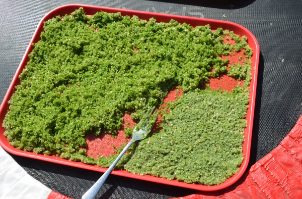 Domáca vegetová soľ z ligurčeka (fotorecept) - obrázok 3