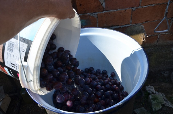 Slivkový lekvár (fotorecept) - obrázok 1