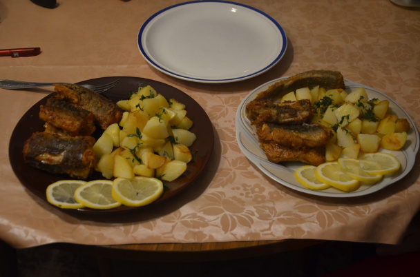 Úhor na masle (fotorecept) - obrázok 5