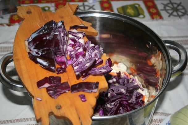 Boršč od Dnepra (fotorecept) - obrázok 6