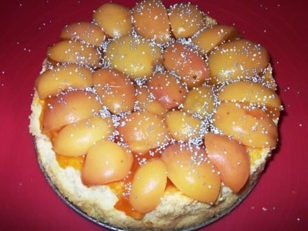 Želatínový koláč (fotorecept) - obrázok 7