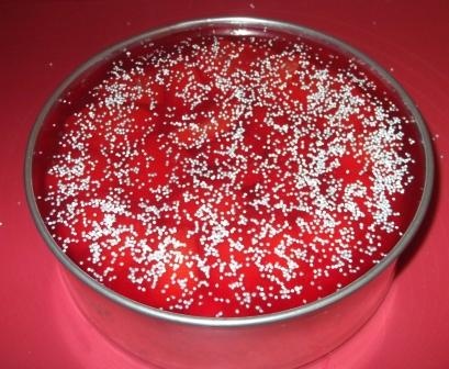 Želatínový koláč (fotorecept) - obrázok 9