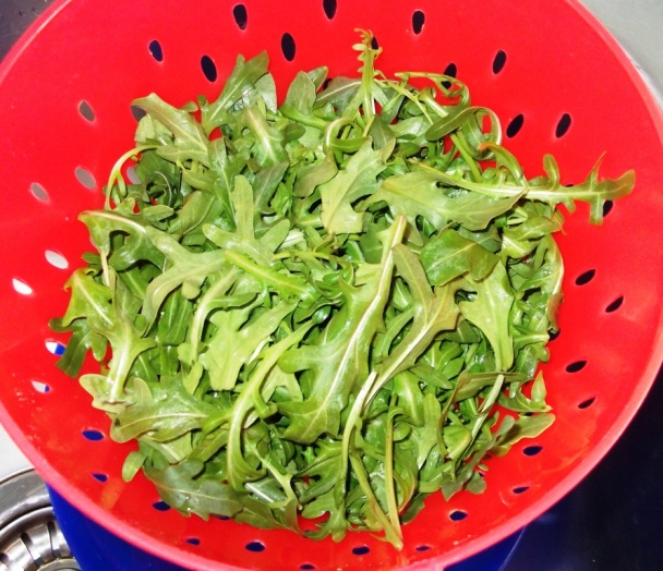 Grilovaný encián s rukolovo-avokádovým šalátom (fotorecept) - obrázok 1