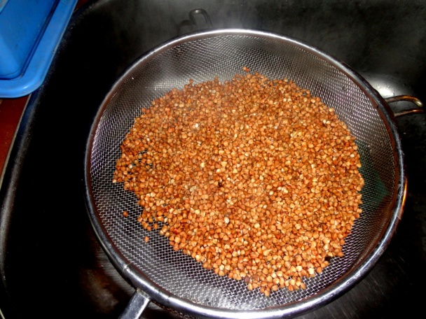 Zimná pohánka (fotorecept) - obrázok 2