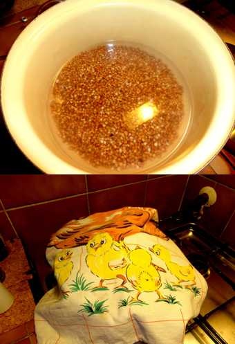 Zimná pohánka (fotorecept) - obrázok 3