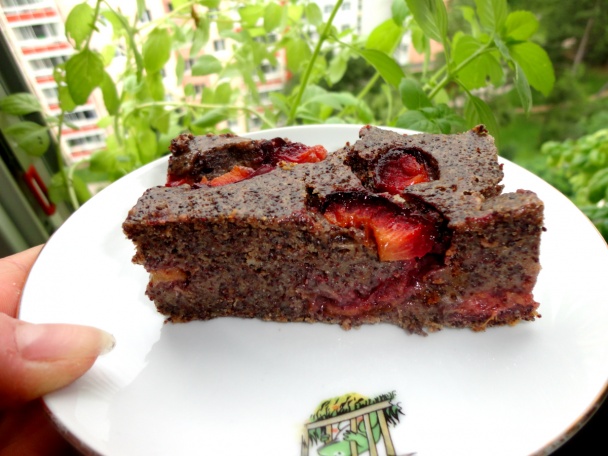 Makový makovník so slivkami (fotorecept) - obrázok 10