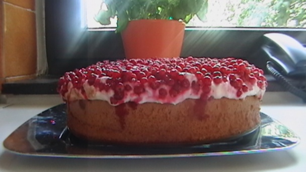 Ríbezle v snehovom obláčiku /fotorecept/ - obrázok 7