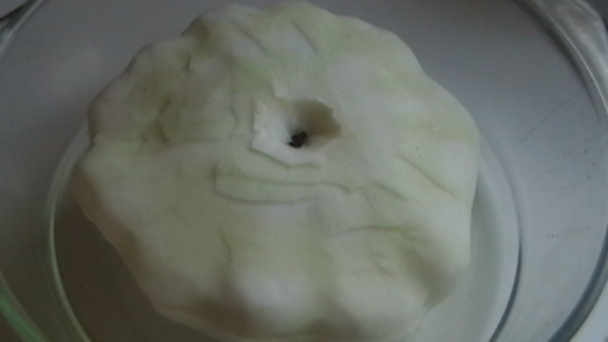 Patizón a la Ufo (fotorecept) - obrázok 7