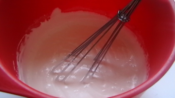 Patizón a la Ufo (fotorecept) - obrázok 10