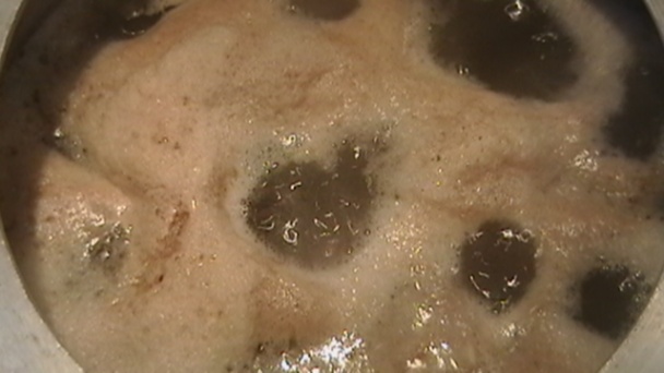 Polievka z volského chvosta /King Dun Niu Wei/ (fotorecept) - obrázok 2