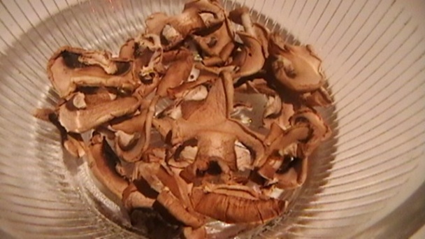 Šampiňónové torteliny, ravioly (fotorecept) - obrázok 1