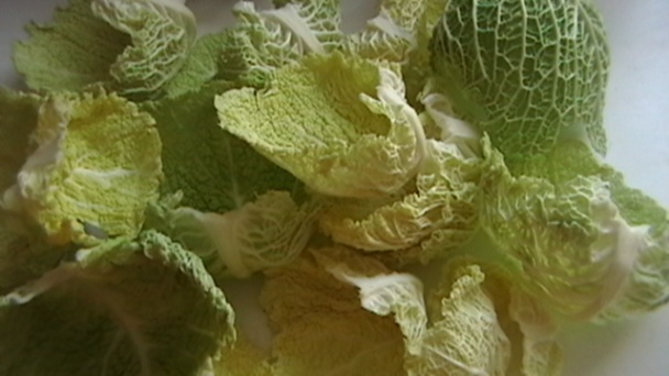 Rezne z kelových listov (fotorecept) - obrázok 1