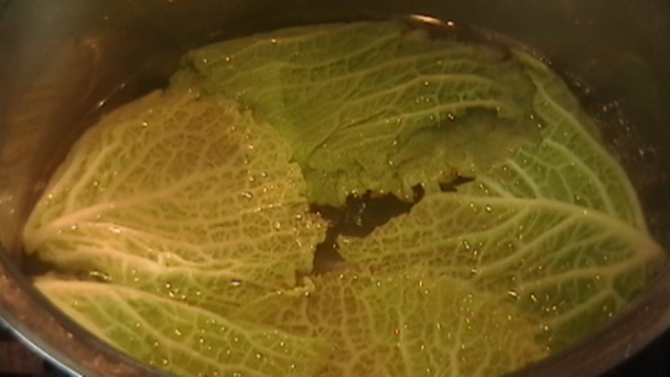 Rezne z kelových listov (fotorecept) - obrázok 2