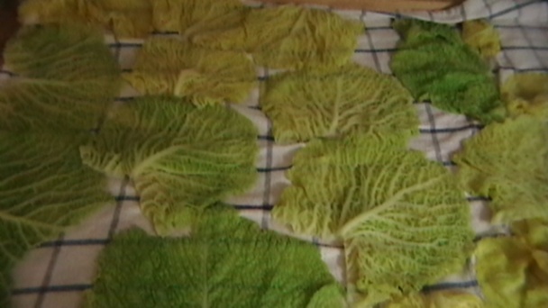 Rezne z kelových listov (fotorecept) - obrázok 3