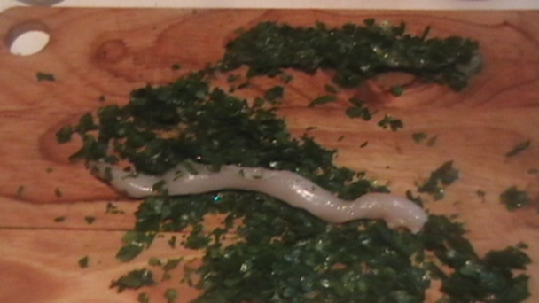 Kuracia terina v slaninke s portským vínom (fotorecept) - obrázok 3