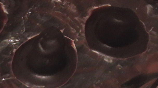 Snehuliaci plnení zmrzlinou (fotorecept) - obrázok 6